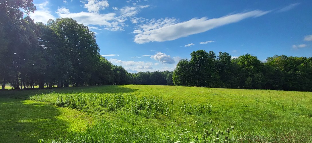 Beautiful Summer Meadow Below a Blue Sky in Lenox, Massachusetts